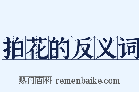 拍花的反义词是什么意思的图片